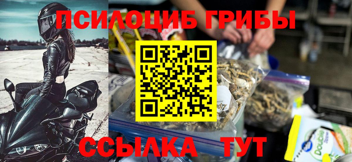Псилоцибиновые грибы GOLDEN TEACHER Егорьевск